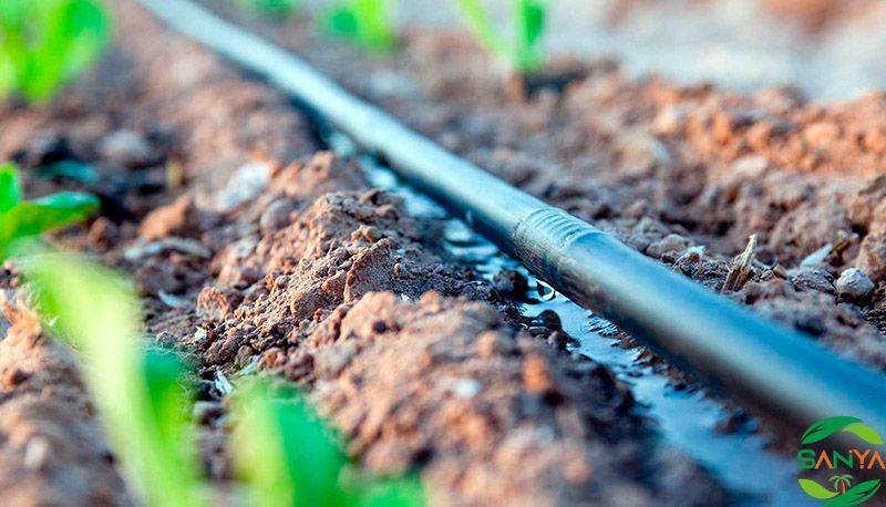 為什么提倡大田節水灌溉，現代農業大田節水灌溉如何實現?