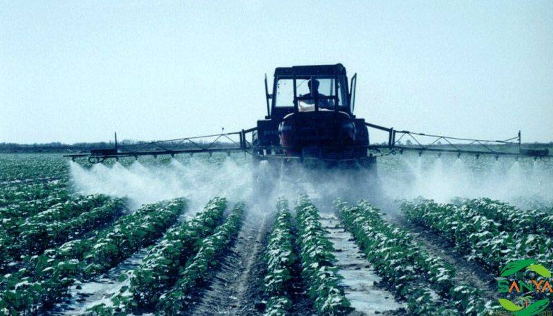 目前化肥行業主要問題有哪些，發展趨勢怎樣？