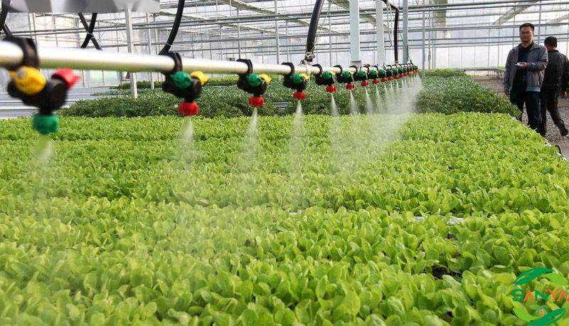 智慧農(nóng)業(yè)在新時代的應(yīng)用和發(fā)展前景分析！