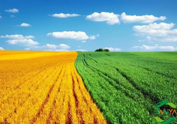 2024海南農藥化肥展