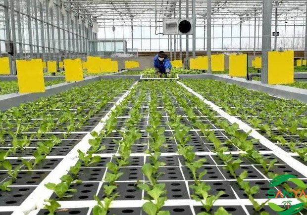 2024年智慧農業展