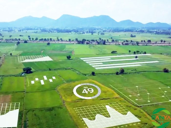 海南省設(shè)施農(nóng)業(yè)概述