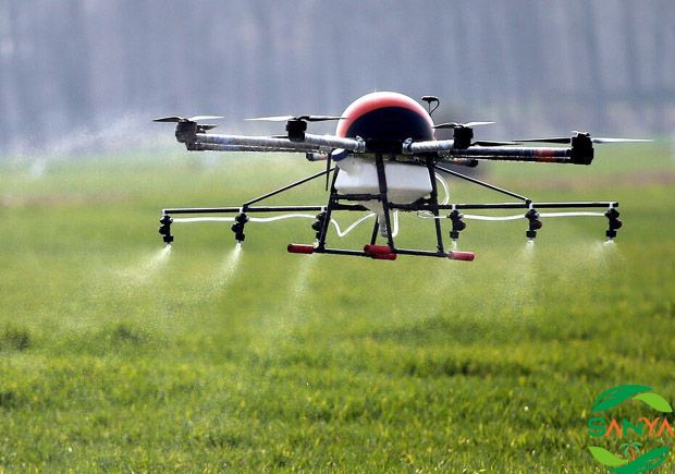 中國現代高效農業發展的未來趨勢是什么