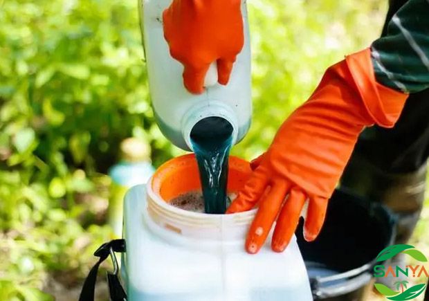 我國農業高新技術發展的現狀如何