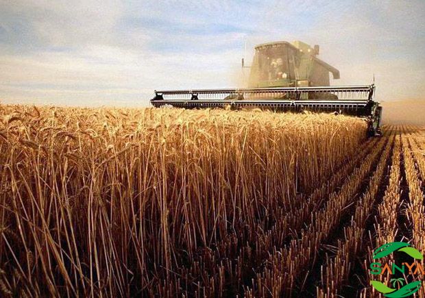 農(nóng)業(yè)現(xiàn)代化對農(nóng)村勞動力流動和農(nóng)村經(jīng)濟結(jié)構(gòu)優(yōu)化有何影響