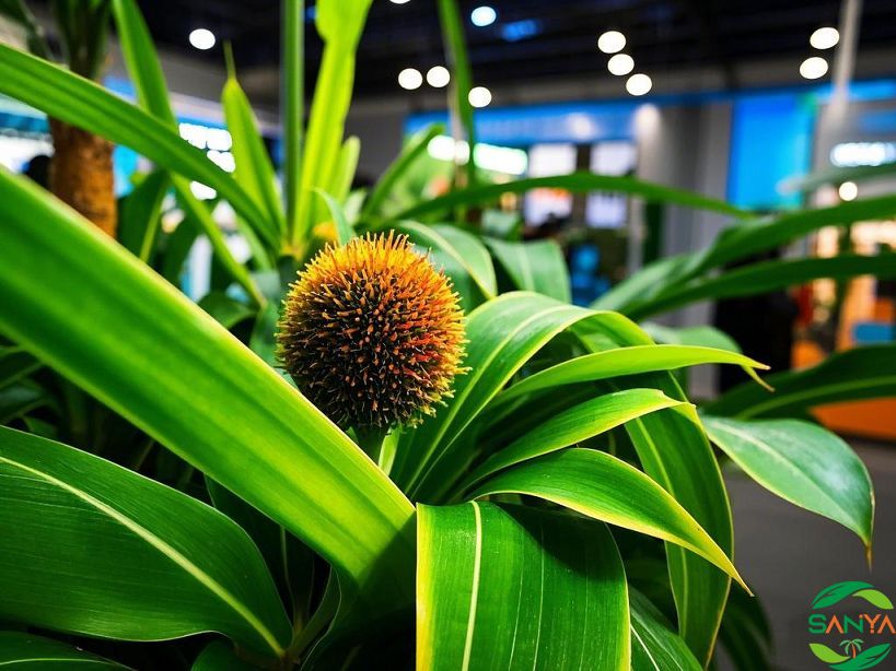 2025年國內農藥化肥展會有哪些？